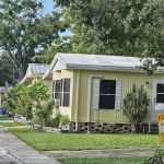 Shady Lane Oaks