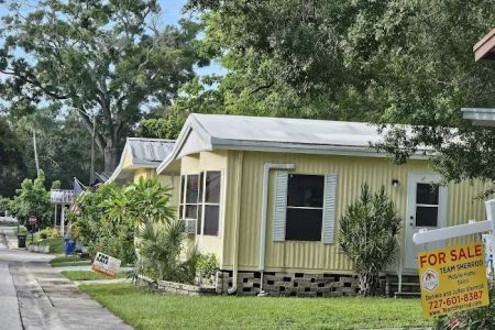 Shady Lane Oaks