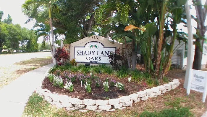 Shady Lane Oaks 4