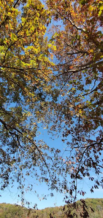 TVA Melton Hill Campground 6