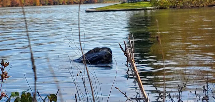 TVA Melton Hill Campground 4