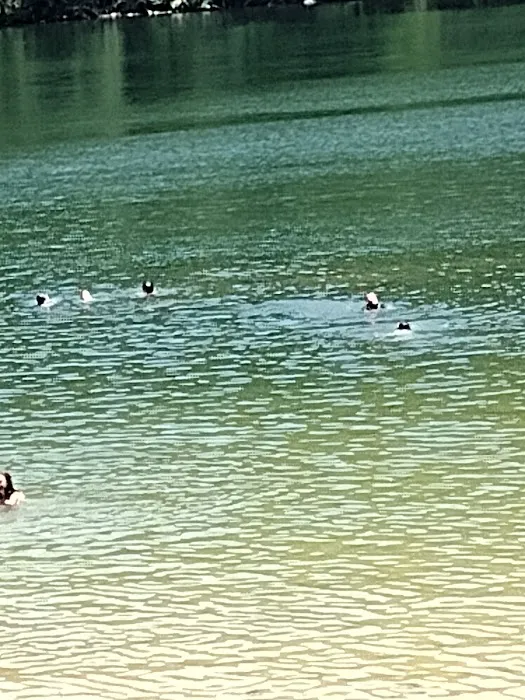 Melton Hill Dam Campground 6
