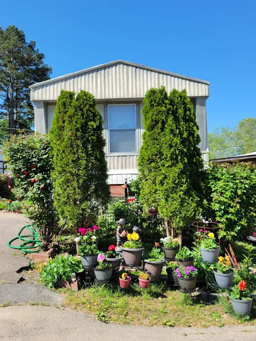 Daisy Estates Mobile Home Park 5