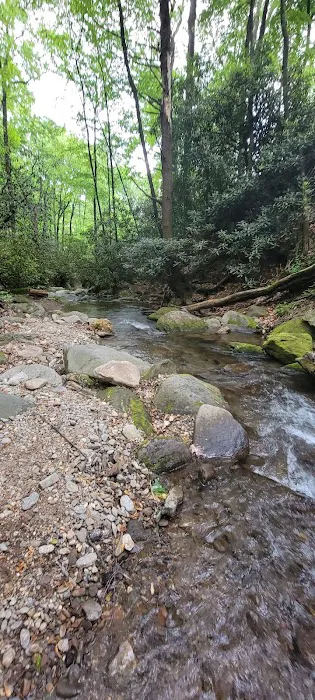 Montreat Campground 8