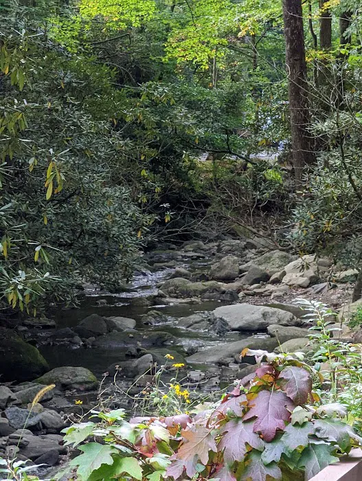 Montreat Campground 10