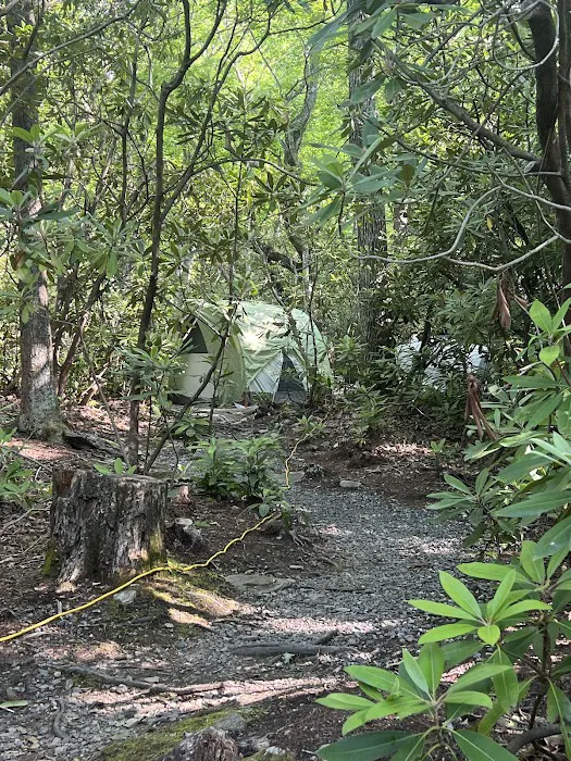 Montreat Campground 9
