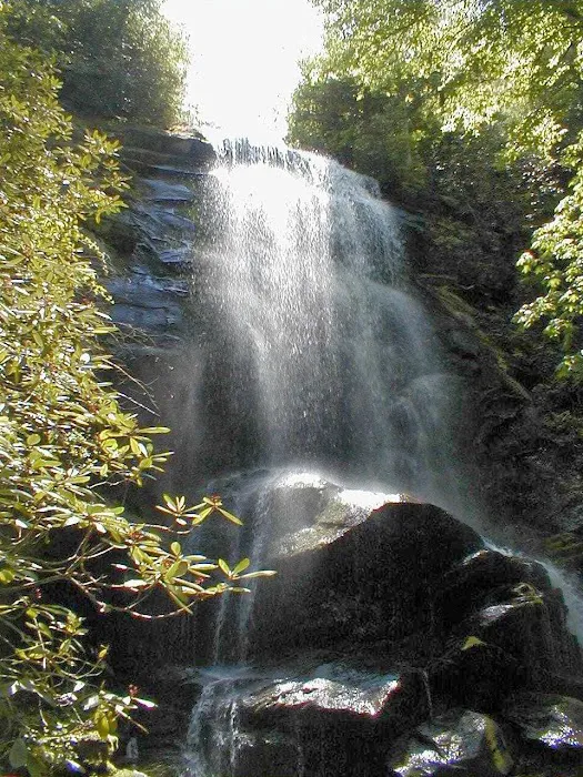 Catawba Falls Campground, LLC 3