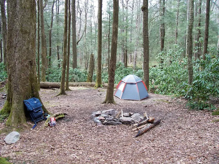 Backcountry Campsite #31 3