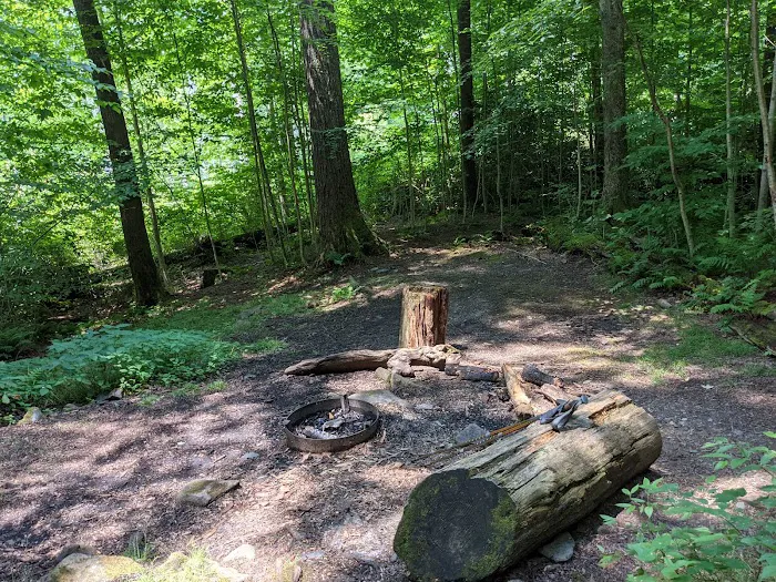 Backcountry Campsite #31 2