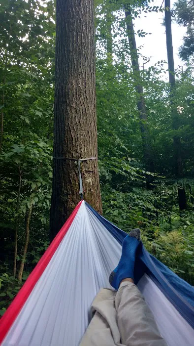 Backcountry Campsite #31 10