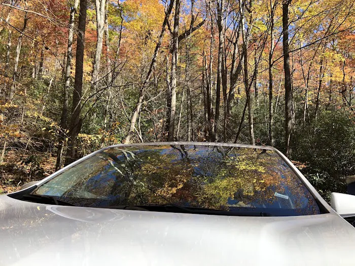 Little Cataloochee Trailhead 5