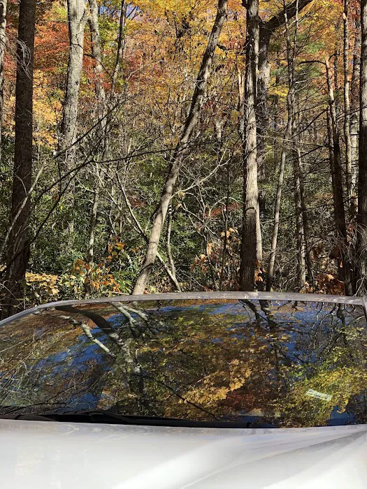 Little Cataloochee Trailhead 10