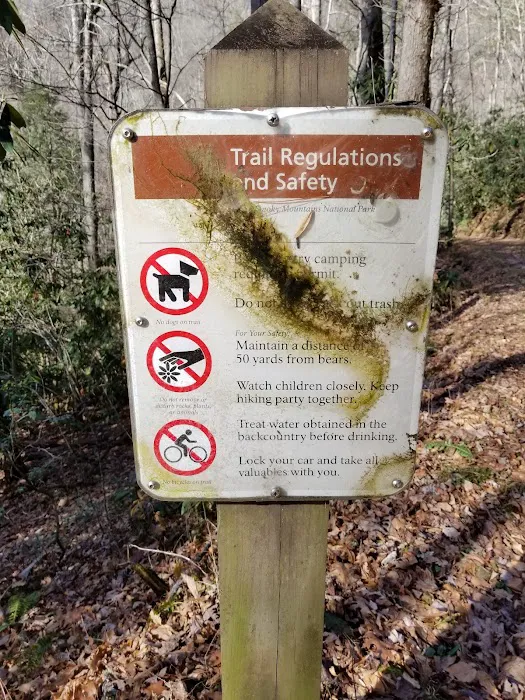Little Cataloochee Trailhead 9