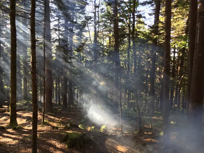 Backcountry Campsite #38 4