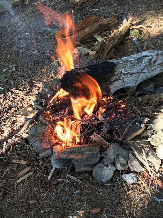 Backcountry Campsite #38 7