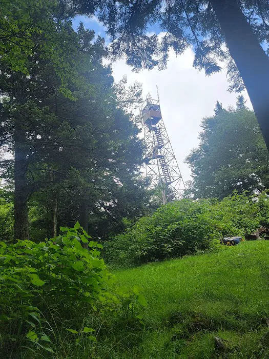 Backcountry Campsite #38 8