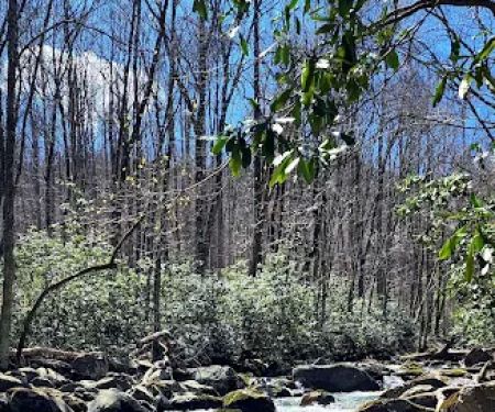 Porters Creek Trailhead Campground