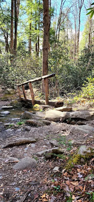 Porters Creek Trailhead Campground 5