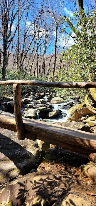 Porters Creek Trailhead Campground 6