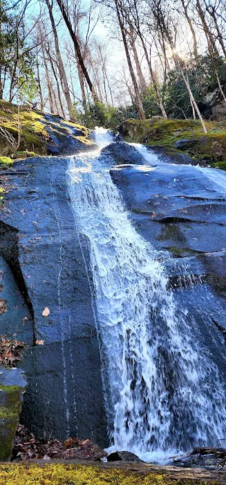 Porters Creek Trailhead Campground 9