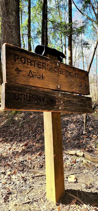 Porters Creek Trailhead Campground 10