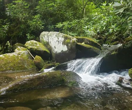 Backcountry Campsite #29