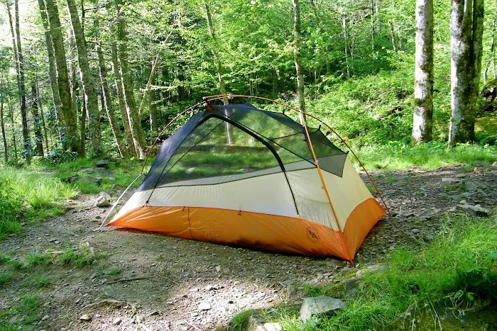 Backcountry Campsite #29 5
