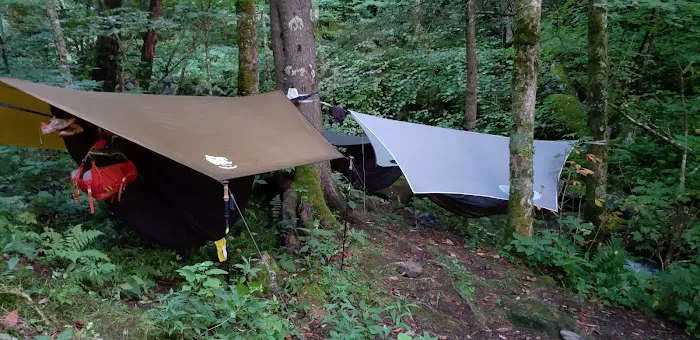 Backcountry Campsite #29 4