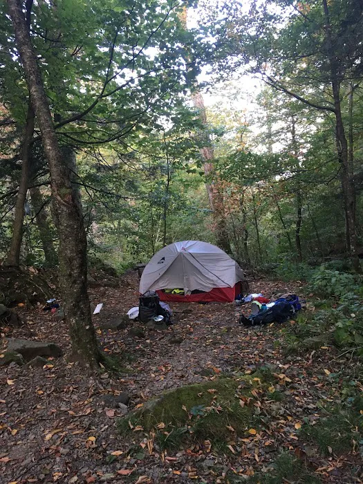 Backcountry Campsite #29 6