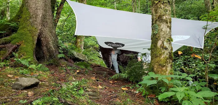 Backcountry Campsite #29 9