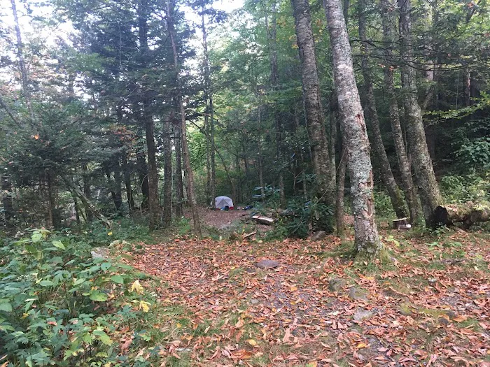 Backcountry Campsite #29 7