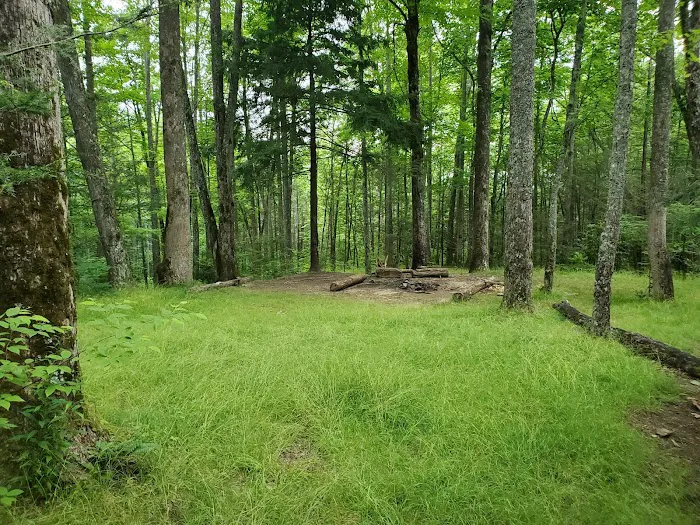 Backcountry Campsite #32 1