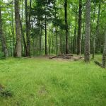 Backcountry Campsite #32