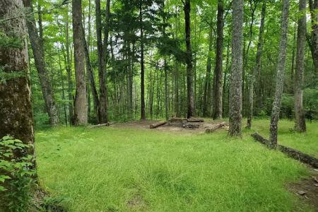 Backcountry Campsite #32