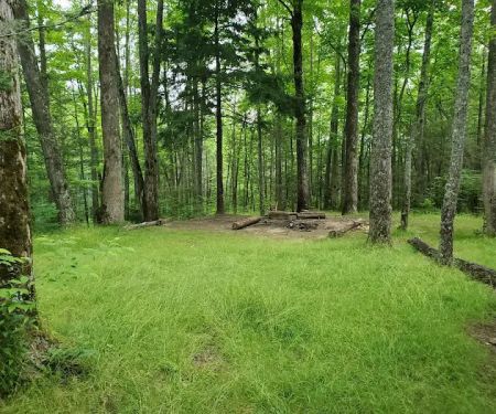 Backcountry Campsite #32