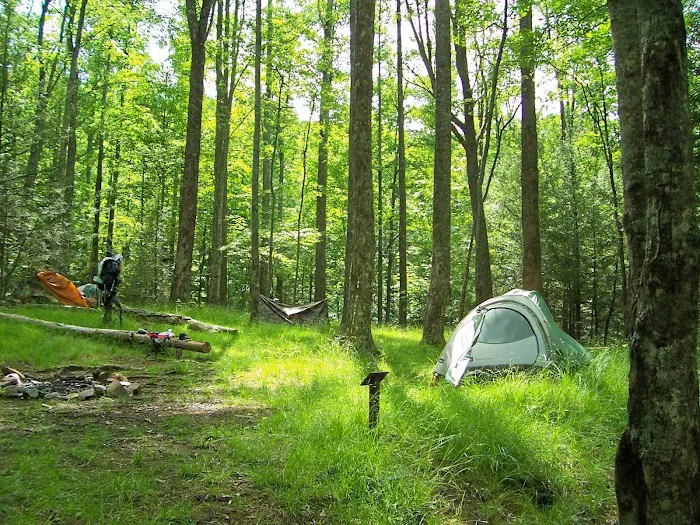 Backcountry Campsite #32 3