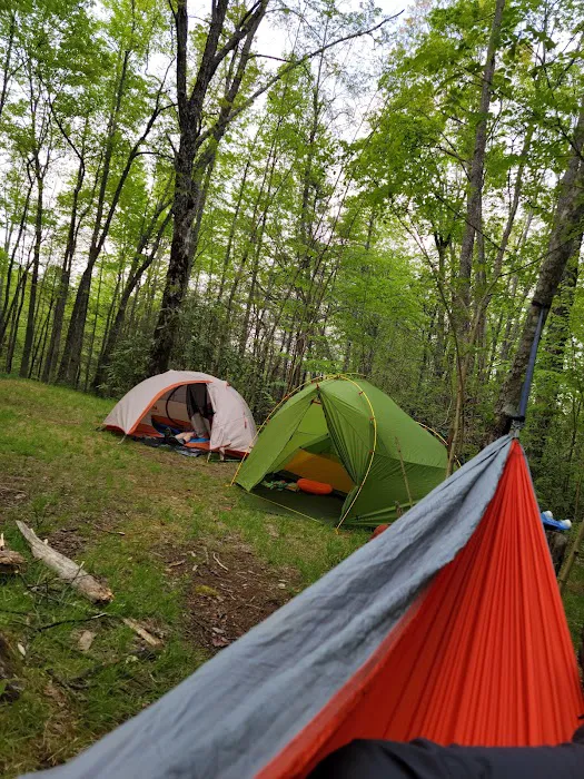 Backcountry Campsite #32 7