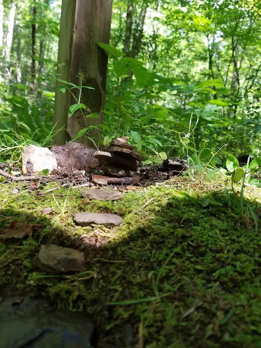 Backcountry Campsite #32 9