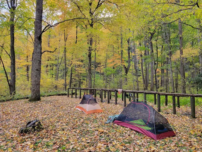 Backcountry Campsite #36 3