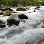 Backcountry Campsite #36