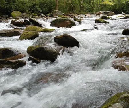 Backcountry Campsite #36