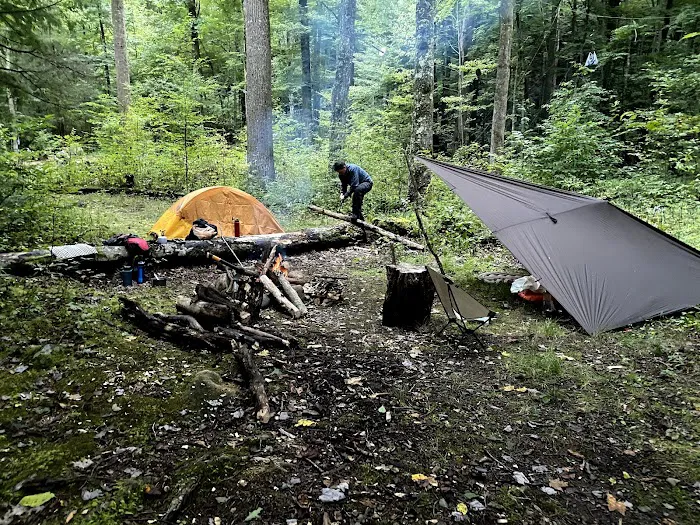 Backcountry Campsite #36 6
