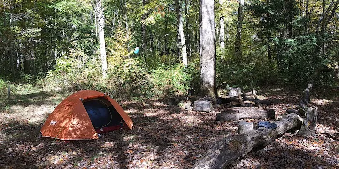 Backcountry Campsite #36 8