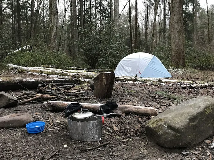 Lower Walnut Bottom Campsite 37 1