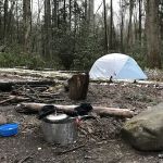 Lower Walnut Bottom Campsite 37