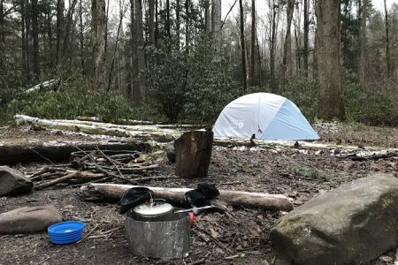 Lower Walnut Bottom Campsite 37