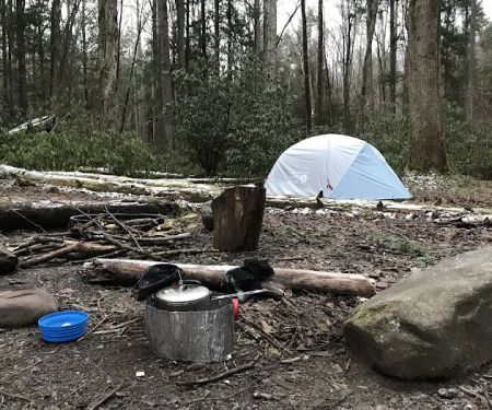 Lower Walnut Bottom Campsite 37