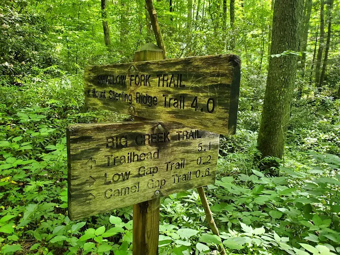 Lower Walnut Bottom Campsite 37 2