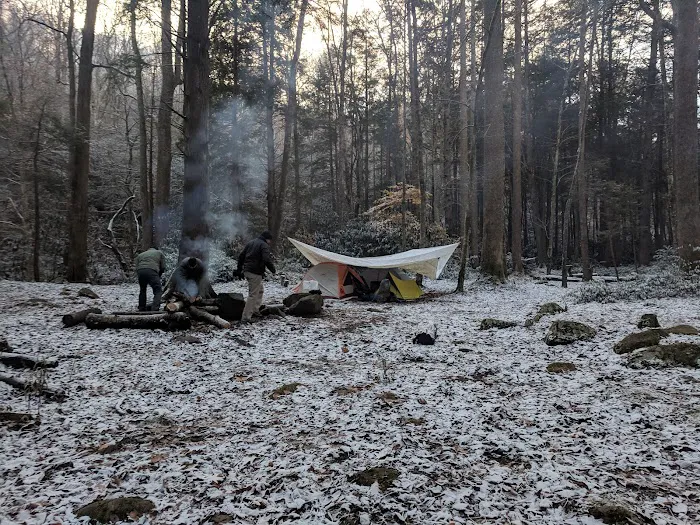 Lower Walnut Bottom Campsite 37 8