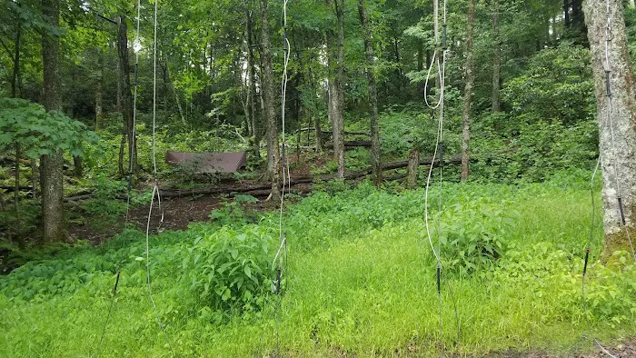 Cosby Knob Shelter 7